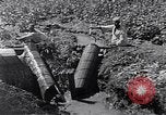 Image of farmer Egypt, 1945, second 27 stock footage video 65675038043