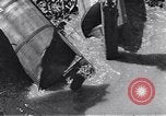 Image of farmer Egypt, 1945, second 30 stock footage video 65675038043