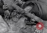 Image of farmer Egypt, 1945, second 33 stock footage video 65675038043
