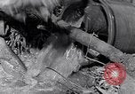Image of farmer Egypt, 1945, second 34 stock footage video 65675038043