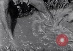 Image of farmer Egypt, 1945, second 36 stock footage video 65675038043