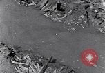 Image of farmer Egypt, 1945, second 39 stock footage video 65675038043