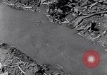 Image of farmer Egypt, 1945, second 41 stock footage video 65675038043