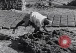 Image of farmer Egypt, 1945, second 42 stock footage video 65675038043
