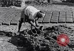 Image of farmer Egypt, 1945, second 43 stock footage video 65675038043