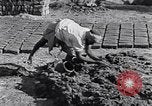 Image of farmer Egypt, 1945, second 44 stock footage video 65675038043