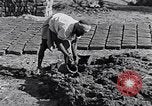 Image of farmer Egypt, 1945, second 45 stock footage video 65675038043