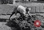 Image of farmer Egypt, 1945, second 46 stock footage video 65675038043