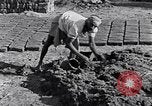 Image of farmer Egypt, 1945, second 47 stock footage video 65675038043