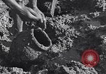 Image of farmer Egypt, 1945, second 48 stock footage video 65675038043