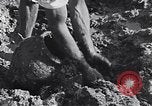 Image of farmer Egypt, 1945, second 50 stock footage video 65675038043