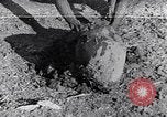 Image of farmer Egypt, 1945, second 51 stock footage video 65675038043