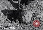 Image of farmer Egypt, 1945, second 54 stock footage video 65675038043