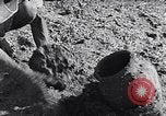 Image of farmer Egypt, 1945, second 62 stock footage video 65675038043