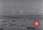Immagine di Cammelli Penisola del Sinai, 1945, secondo 35 filmato di repertorio 65675038044