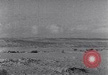 Immagine di Cammelli Penisola del Sinai, 1945, secondo 40 filmato di repertorio 65675038044