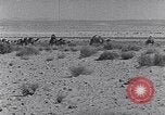 Immagine di Cammelli Penisola del Sinai, 1945, secondo 41 filmato di repertorio 65675038044