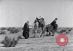 Standbild Beduinen Sinai Halbinsel, 1945, aus Sekunde 7 historischem Filmmaterial Videoclip 65675038045