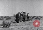 Standbild Beduinen Sinai Halbinsel, 1945, aus Sekunde 9 historischem Filmmaterial Videoclip 65675038045