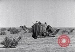 Standbild Beduinen Sinai Halbinsel, 1945, aus Sekunde 12 historischem Filmmaterial Videoclip 65675038045
