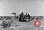 Standbild Beduinen Sinai Halbinsel, 1945, aus Sekunde 13 historischem Filmmaterial Videoclip 65675038045