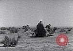 Standbild Beduinen Sinai Halbinsel, 1945, aus Sekunde 15 historischem Filmmaterial Videoclip 65675038045