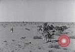 Standbild Beduinen Sinai Halbinsel, 1945, aus Sekunde 16 historischem Filmmaterial Videoclip 65675038045
