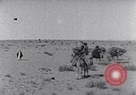 Standbild Beduinen Sinai Halbinsel, 1945, aus Sekunde 17 historischem Filmmaterial Videoclip 65675038045