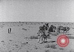 Standbild Beduinen Sinai Halbinsel, 1945, aus Sekunde 18 historischem Filmmaterial Videoclip 65675038045