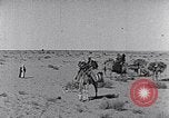 Standbild Beduinen Sinai Halbinsel, 1945, aus Sekunde 20 historischem Filmmaterial Videoclip 65675038045