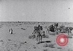 Standbild Beduinen Sinai Halbinsel, 1945, aus Sekunde 21 historischem Filmmaterial Videoclip 65675038045