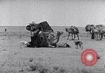 Standbild Beduinen Sinai Halbinsel, 1945, aus Sekunde 26 historischem Filmmaterial Videoclip 65675038045