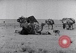 Standbild Beduinen Sinai Halbinsel, 1945, aus Sekunde 27 historischem Filmmaterial Videoclip 65675038045