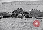 Standbild Beduinen Sinai Halbinsel, 1945, aus Sekunde 28 historischem Filmmaterial Videoclip 65675038045
