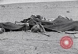 Standbild Beduinen Sinai Halbinsel, 1945, aus Sekunde 29 historischem Filmmaterial Videoclip 65675038045