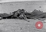 Standbild Beduinen Sinai Halbinsel, 1945, aus Sekunde 30 historischem Filmmaterial Videoclip 65675038045
