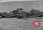 Standbild Beduinen Sinai Halbinsel, 1945, aus Sekunde 32 historischem Filmmaterial Videoclip 65675038045