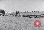 Standbild Beduinen Sinai Halbinsel, 1945, aus Sekunde 36 historischem Filmmaterial Videoclip 65675038045
