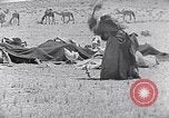 Standbild Beduinen Sinai Halbinsel, 1945, aus Sekunde 51 historischem Filmmaterial Videoclip 65675038045
