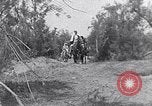 Immagine di I beduini Palestina, 1945, secondo 21 filmato di repertorio 65675038048