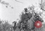 Immagine di I beduini Palestina, 1945, secondo 31 filmato di repertorio 65675038048