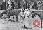 Immagine di I beduini Palestina, 1945, secondo 32 filmato di repertorio 65675038048