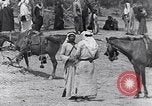 Immagine di I beduini Palestina, 1945, secondo 35 filmato di repertorio 65675038048