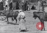 Immagine di I beduini Palestina, 1945, secondo 36 filmato di repertorio 65675038048