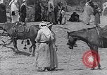 Immagine di I beduini Palestina, 1945, secondo 37 filmato di repertorio 65675038048