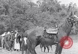 Immagine di I beduini Palestina, 1945, secondo 38 filmato di repertorio 65675038048