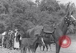 Immagine di I beduini Palestina, 1945, secondo 39 filmato di repertorio 65675038048