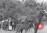 Immagine di I beduini Palestina, 1945, secondo 40 filmato di repertorio 65675038048