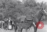 Immagine di I beduini Palestina, 1945, secondo 41 filmato di repertorio 65675038048