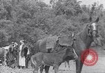 Immagine di I beduini Palestina, 1945, secondo 43 filmato di repertorio 65675038048